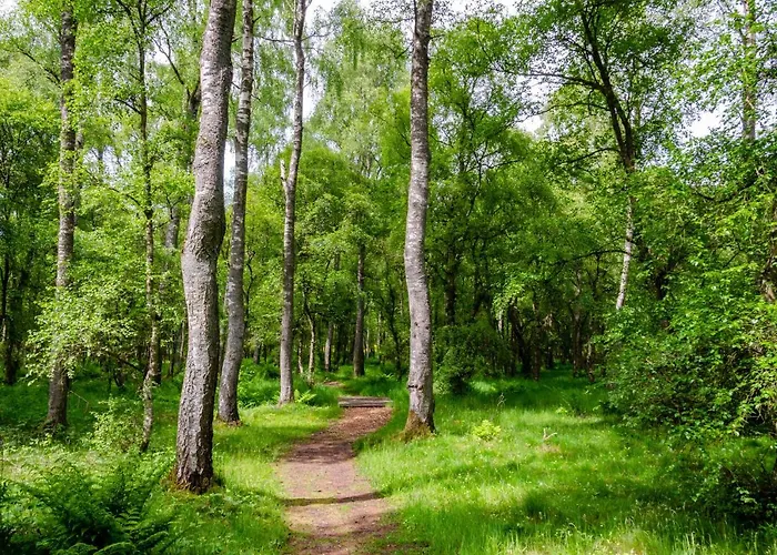Drumshademuir Caravan & Camping Park