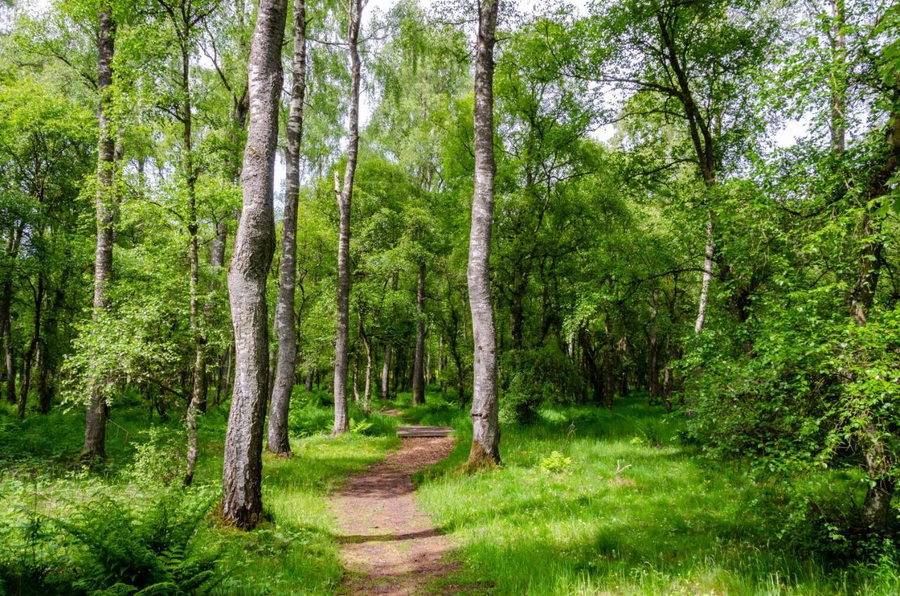 Drumshademuir Caravan & Park Glamis