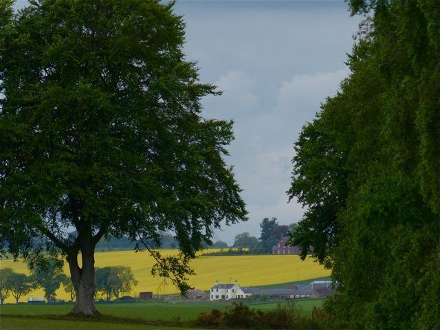 Drumshademuir Caravan & Park Glamis