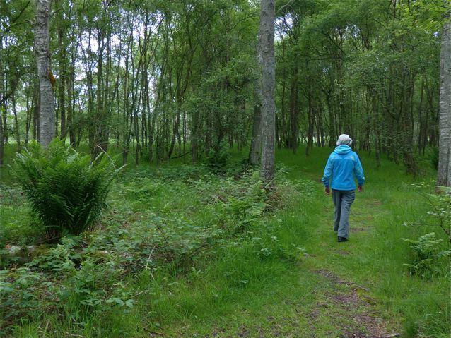 Holiday park Drumshademuir Caravan & Park Glamis